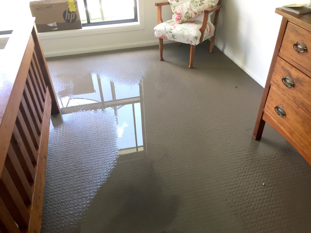 water damage cleanup rochester